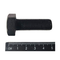 Болт кріплення маховика Д-245,260(вир-во Білорусь,ММЗ)