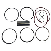 Поршнекомплект(гільза+поршень+кільця+палець+гтв)Д-240(5канавок)(вир-во AMP,Польща)