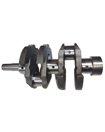 Вал колінчатий Д-21 без вкладишів (діаметр отворів 14мм)(вир-во Китай)