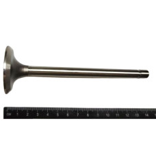 Клапан впускний(великий) Т25,Д37,Д144(PWLA001-S-0-0)(вир-во AMP.Польща)