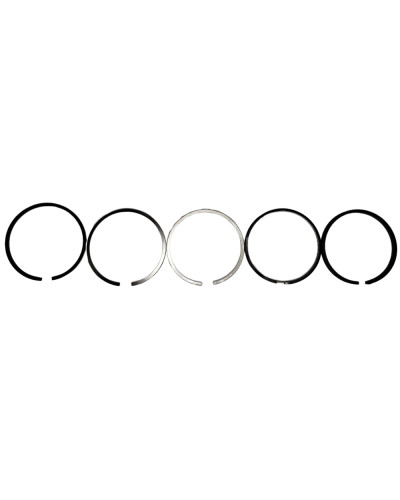 Комплект поршневих кілець Д-240(5канавок)(PR-MTZ-44-5950-000-SET)(вир-во AMP,Польща)