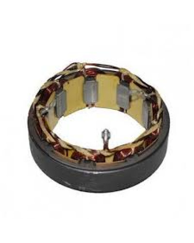 ИЖКС 684214.006 Статор генератора 28В,1кВт