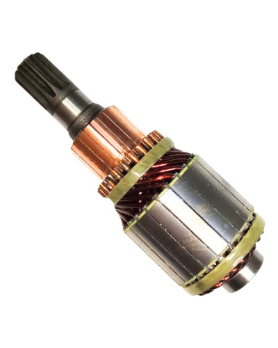 Якір 7153717 в зборі  24 В  (Чехія)