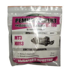 Ремкомплект гідроциліндра ЦС-100(старого зразка)