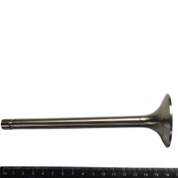 Клапан впускний Д-245,260(вир-во "ЧАМЗ")