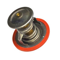 Термостат(87)