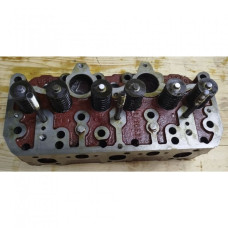 Головка цилиндрів Д-260 (вир-во Білорусь,ММЗ)