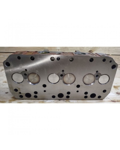 Головка цилиндрів (ЕВРО)(під свічки накалу)(вир-во Білорусь,ММЗ)