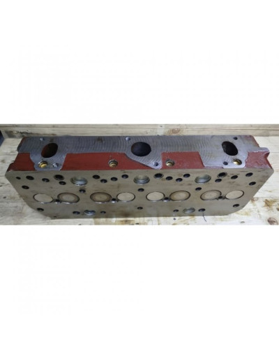 Головка цилиндров в сборе (пр-во Беларусь, ММЗ)