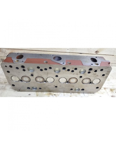 Головка цилиндров в сборе (пр-во Беларусь, ММЗ)