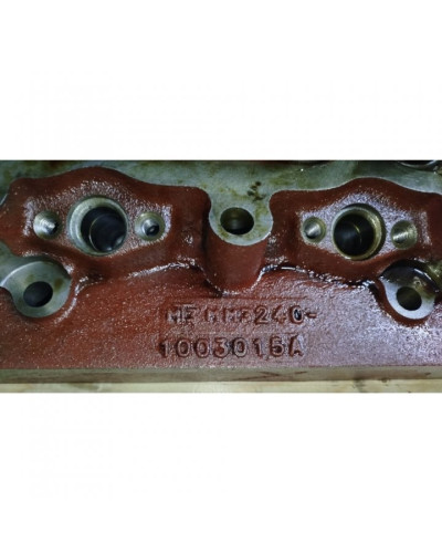 Головка цилиндров в сборе (пр-во Беларусь, ММЗ)