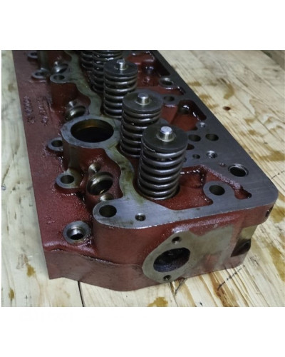 Головка цилиндров в сборе (пр-во Беларусь, ММЗ)