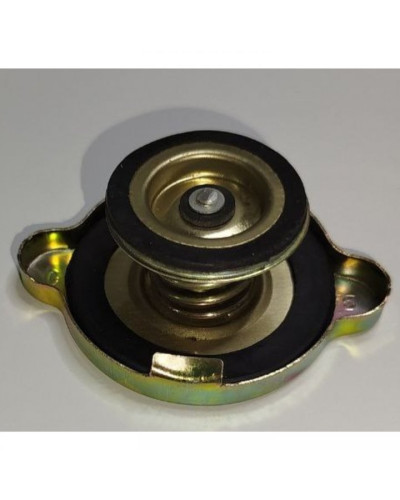 Кришка радіатора А21.1301.500-1 мала