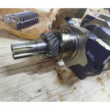 Вал коленчатый (с вкладышами и шестерней) Д-240, Д-243 (пр-во Беларусь, ММЗ)