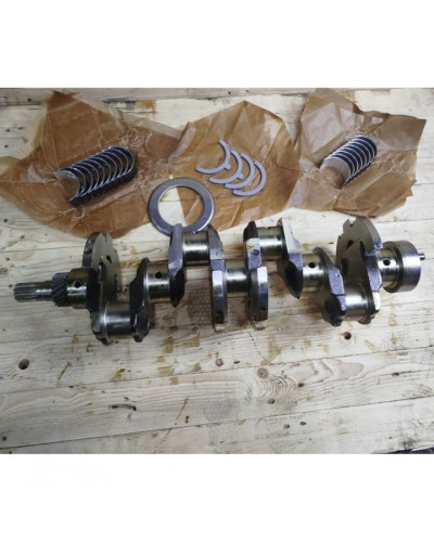 Вал колінчатий (з вкладишами і шестернею)Д-240,Д-243(вир-во Білорусь,ММЗ) Вал колінчатий (з вкладишами і шестернею)Д-240,Д-243(вир-во Білорусь,ММЗ)