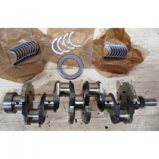 Вал коленчатый с вкладышами Д-245.7,9 Е2 (7 отв) (без шл.) автомоб.(пр-во Беларусь,ММЗ)